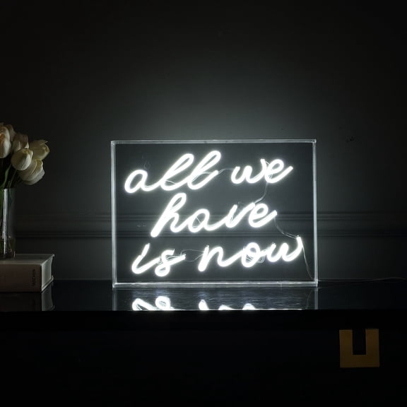 All We Have Is Now 14" X 10" Contemporary Glam Acrylic Box USB Operated LED Neon Light, White