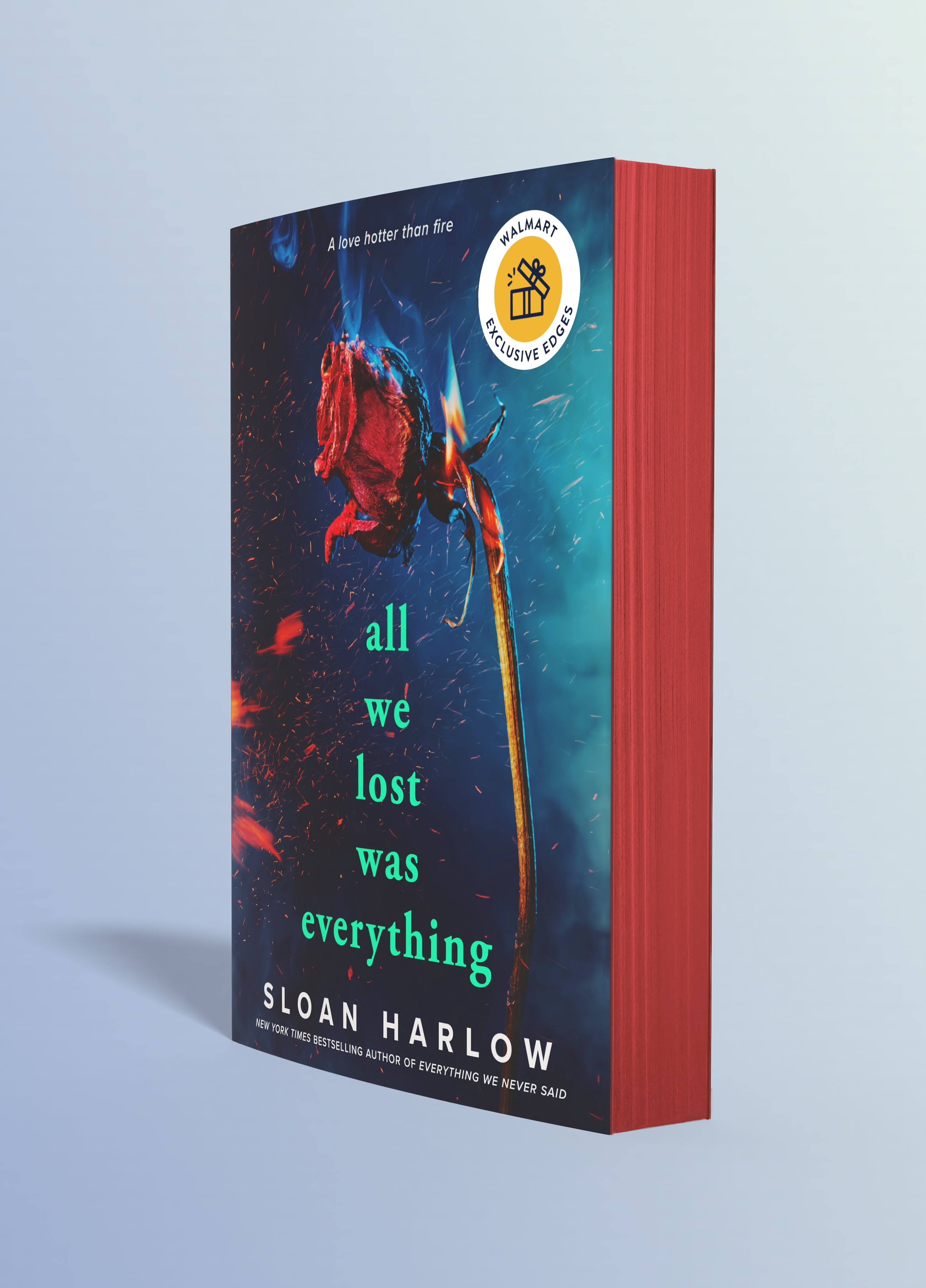 All We Lost Was Everything (Walmart Exclusive) (Paperback)