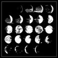 thumbnail image 1 of All We Love We Leave Behind, 1 of 1