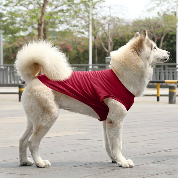 All-Weather Pet Support Vest - Durable Dog Cat Harness with Padding & Safety Features - Essential for Training, Car Travel & Nighttime Visibility for All Sizes