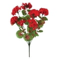 thumbnail image 1 of All-Weather Red Geranium Bush by OakRidge™, 1 of 4