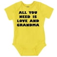 thumbnail image 1 of All You Need is Grandma Cute Grandkid Romper Boys or Girls Infant Baby Brisco Brands 24M, 1 of 6