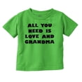 thumbnail image 1 of All You Need is Grandma Cute Grandkid Toddler Boy Girl T Shirt Infant Toddler Brisco Brands 24M, 1 of 6