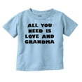 thumbnail image 1 of All You Need is Grandma Cute Grandkid Toddler Boy Girl T Shirt Infant Toddler Brisco Brands 5T, 1 of 6