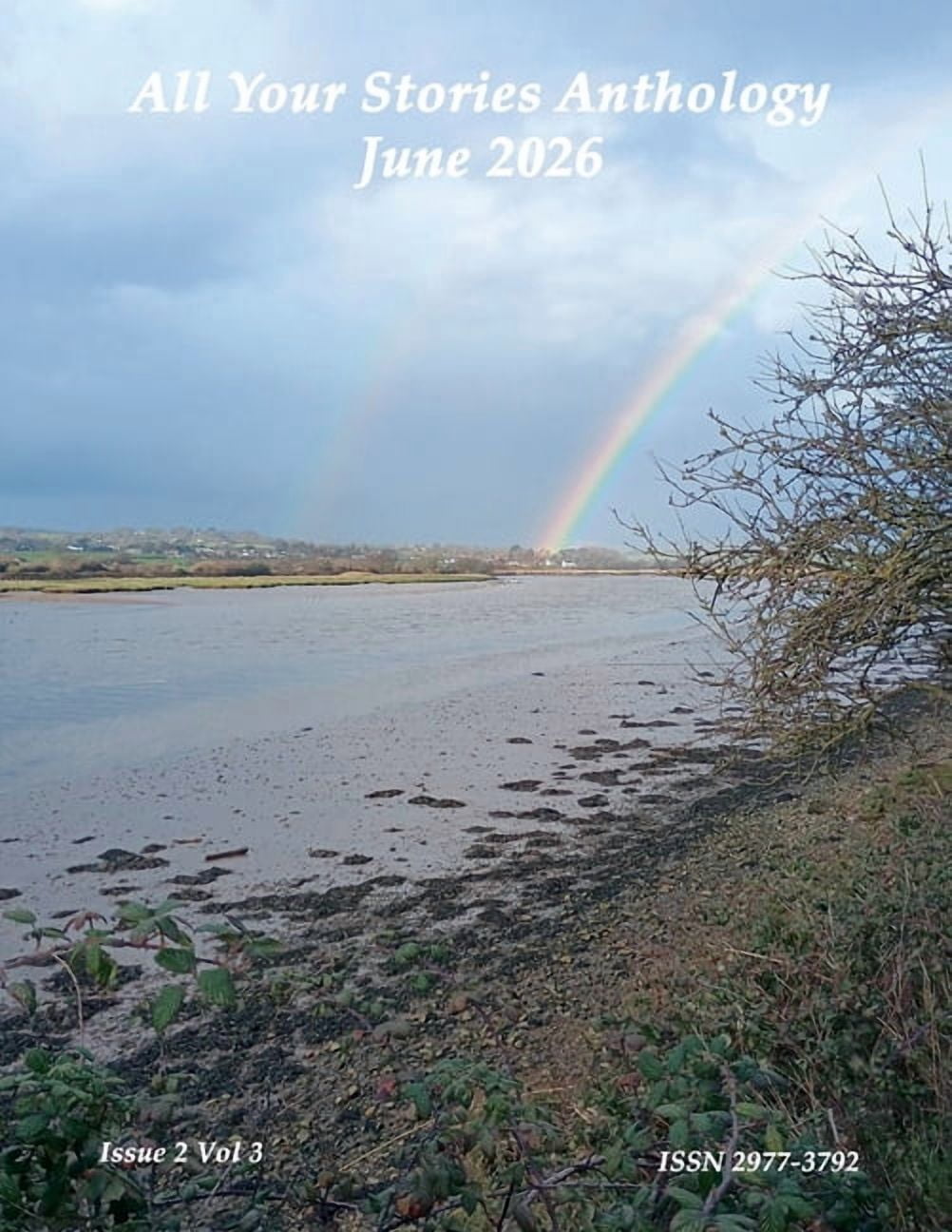 All Your Stories All Your Stories Anthology June 2026, Book 3, (Paperback)