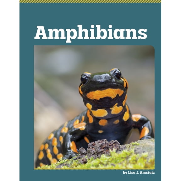 All about Animal Classification Amphibians, (Hardcover)