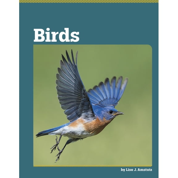 All about Animal Classification Birds, (Hardcover)