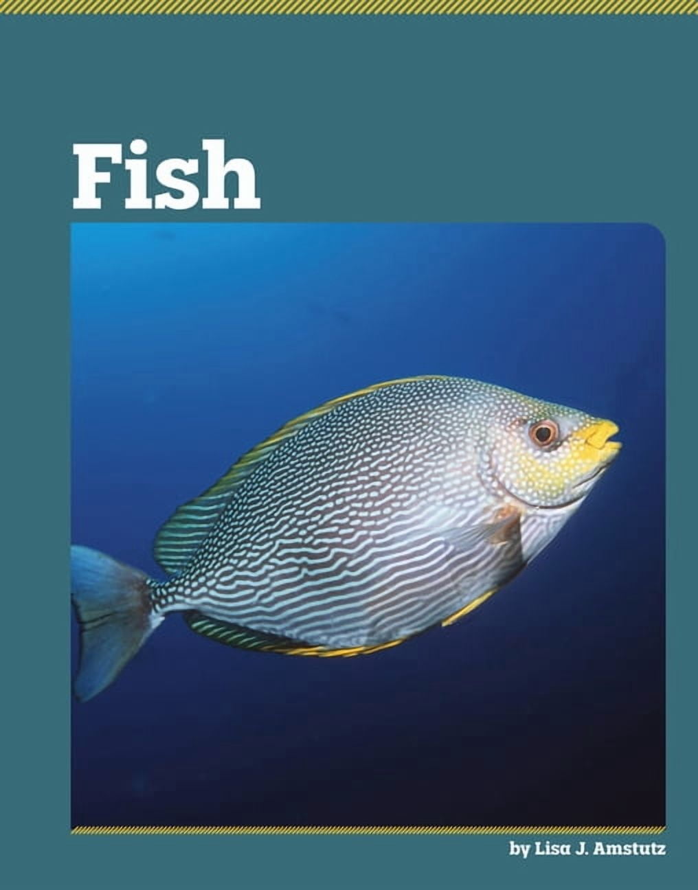 All about Animal Classification Fish, (Hardcover)