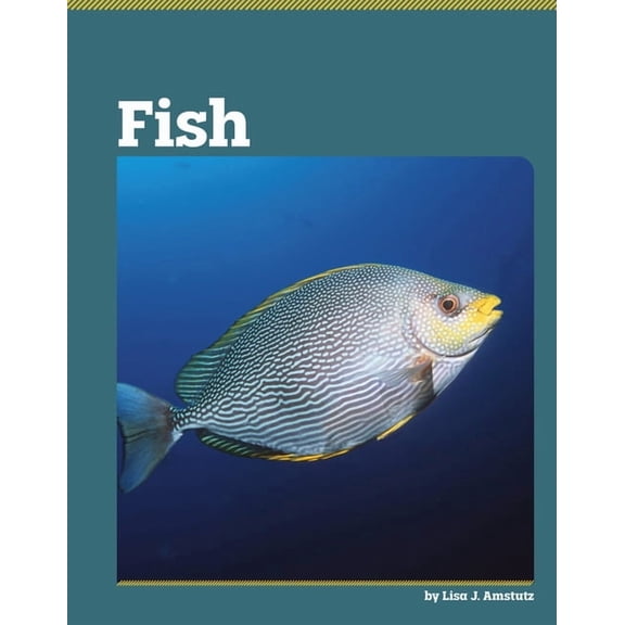 All about Animal Classification Fish, (Hardcover)