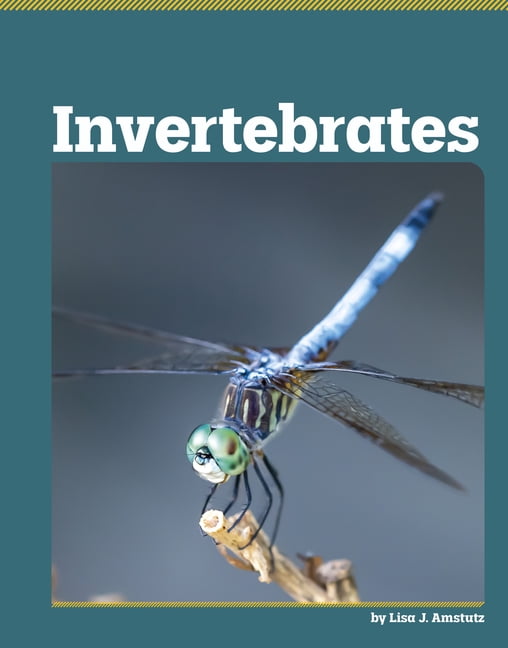 All about Animal Classification Invertebrates, (Hardcover)