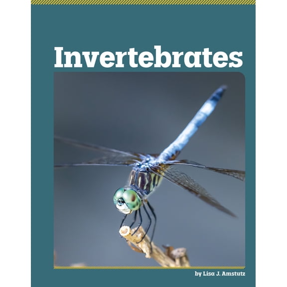 All about Animal Classification Invertebrates, (Hardcover)