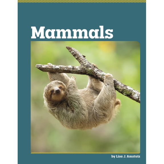 All about Animal Classification Mammals, (Hardcover)