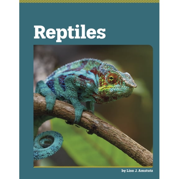 All about Animal Classification Reptiles, (Hardcover)