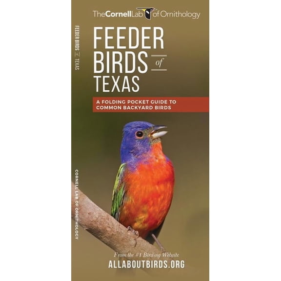 All about Birds Feeder Birds of Texas, (Paperback)