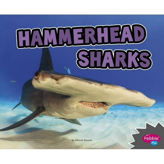 All about Sharks Hammerhead Sharks, (Paperback)