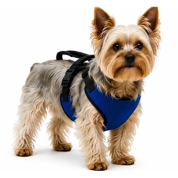 All in One Dog Mobility Lift Lead Walking Car Support Harness Aging Injured Aid (Small)