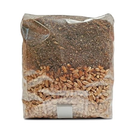 All in One Mushroom Grow Bag – Coco Coir & Rye Berry Grains 1.5 LBS Self-Healing Injection Port - Easy to Use Grow Kit