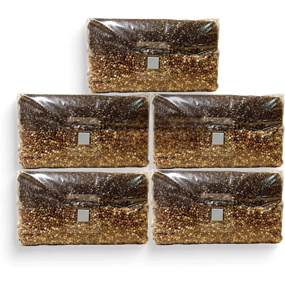 AllinOne Mushroom Grow Bag Kit  Sterilized Grain & CVG Substrate with SelfHealing Injection Port  BeginnerFriendly Mushroom Growing Kit to Grow Mushrooms at Home, 5 lb Mega Bag (5 Bags)