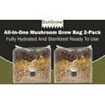 thumbnail image 1 of All in One Mushroom Grow Bag - Manure Based, 2 Pack, 1 of 7