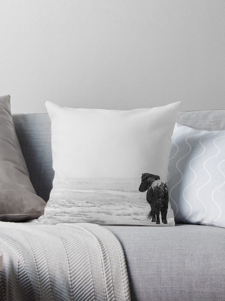 All my recent work here is taken on assignment or photo tours with