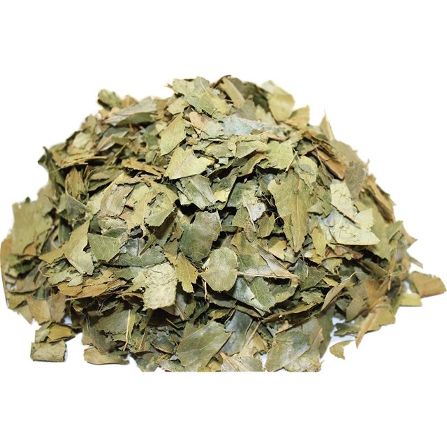 All natural Grown Graviola (Sour Sop) Dried Loose Leaves Tea 2 oz ...