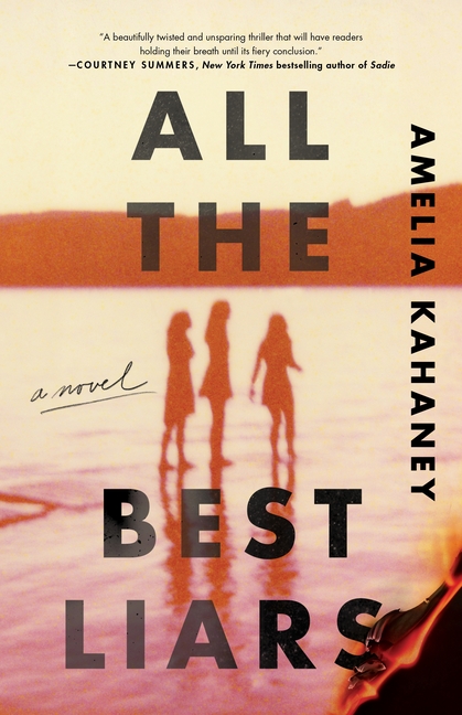 All the Best Liars : A Novel (Paperback) - image 1 of 1