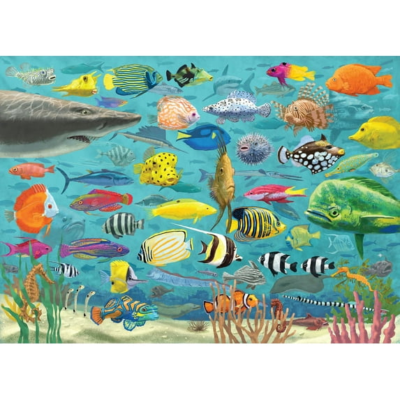 All the Fish 1000 Piece Jigsaw Puzzle (Other)