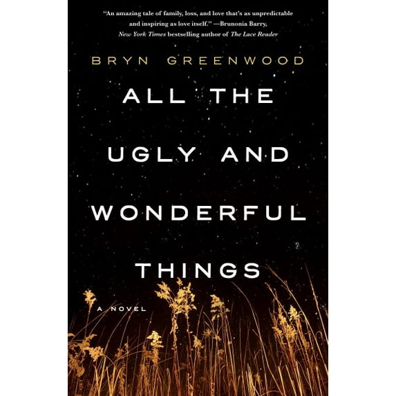 All the Ugly and Wonderful Things : A Novel (Hardcover)