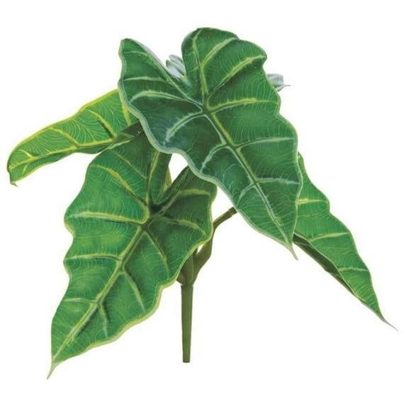 AllState Floral PBC218-GR 7.5 in. UV Protected Caladium Hortulanum Bush - Green - Pack of 12