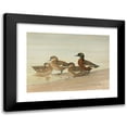 thumbnail image 1 of Allan Brooks 24x19 Black Modern Framed Museum Art Print Titled - Gray Teal, Chestnut-Breasted Teal (1922-1926), 1 of 5