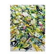 thumbnail image 1 of Allan Friedlander 'White Flowers' Canvas Art, 1 of 3