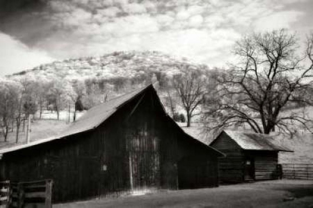 Alleghany County I Canvas Art - Alan Hausenflock (20 x 28)
