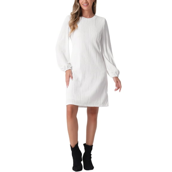 INSPIRE CHIC Elegant Long Sleeve Dress for Women's Wedding Guests Crew Neck Solid Dresses