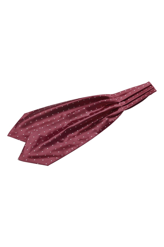 Men's Polka Dots Cravat Ties Self Tie Cravat Scarf Neckerchief Ascot Tie Wine Red One Size