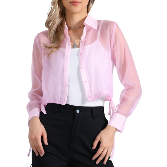 Allegra K Women's Button-Front Point Collar Mesh Sheer Long Sleeve Shirt Tops L Light Purple