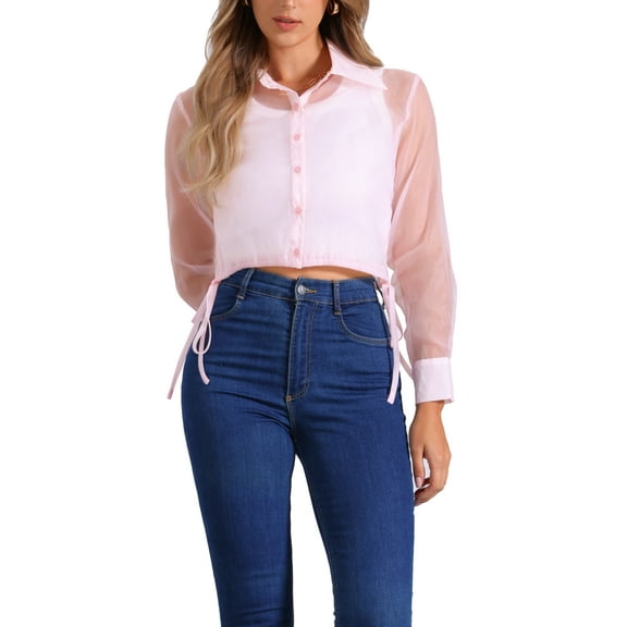 INSPIRE CHIC Women's Button-Front Point Collar Mesh Sheer Long Sleeve Shirt Tops M Light Pink