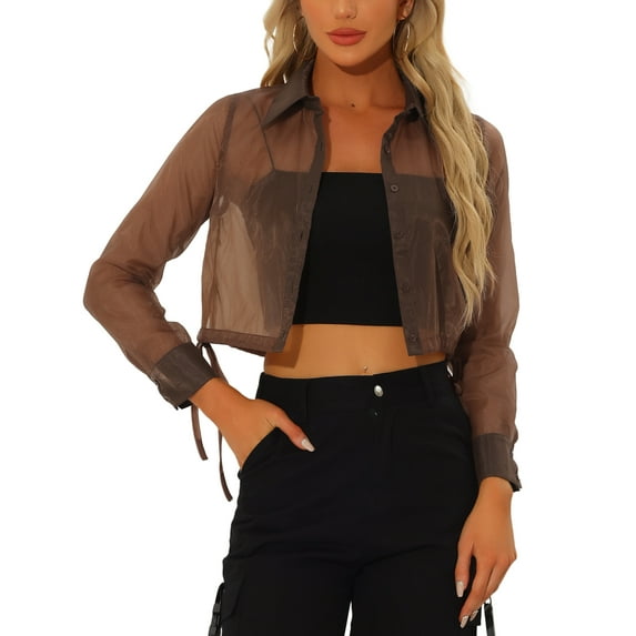 INSPIRE CHIC Women's Button-Front Point Collar Mesh Sheer Long Sleeve Shirt Tops XL Brown