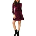 thumbnail image 1 of INSPIRE CHIC Women's Contrast Collar Long Sleeve A-Line Velvet Dress L Wine Red, 1 of 6
