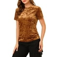 thumbnail image 1 of INSPIRE CHIC Women's Party Velvet Top Crew Neck Short Sleeve Casual T-Shirt XS Brown, 1 of 8