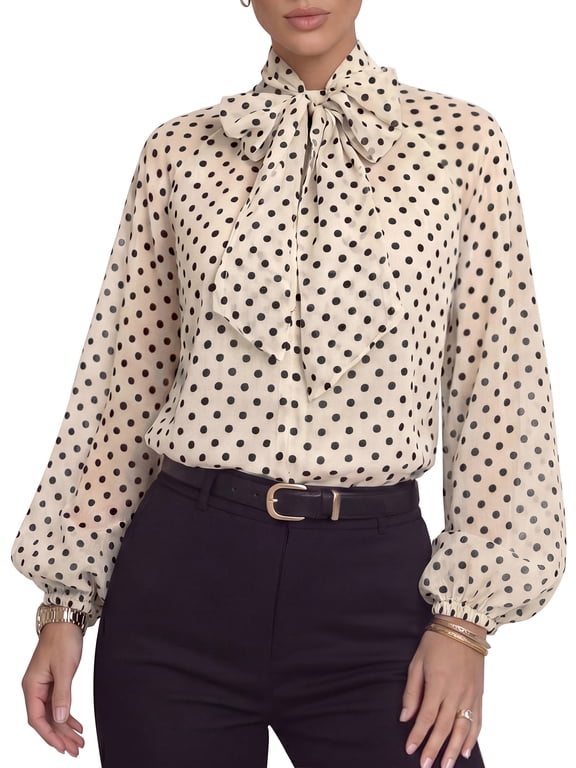 Women's Polka Dot Blouse Bow Tie Neck Puff Long Sleeves Lightweight Oversized Chiffon Flowy Vintage Pullover Top Small White