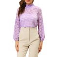 thumbnail image 1 of Allegra K Women's Ruffle Mock Neck Floral Lace Long Sleeves Semi Sheer Elegant Blouse, 1 of 7