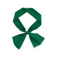 thumbnail image 1 of INSPIRE CHIC Women's Scarves Solid Color Kerchief Silky Scarves Long Neck Wraps Dark Green, 1 of 6