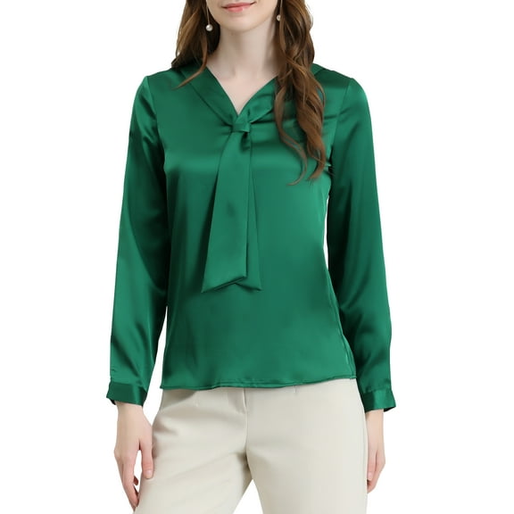 INSPIRE CHIC Women's Tie Neck Long Sleeve Elegant Button Cuff Office Shirt L Dark Green