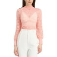 thumbnail image 1 of INSPIRE CHIC Women's Turtleneck Long Sleeve Mesh Semi Sheer Lace Floral Blouse, 1 of 4