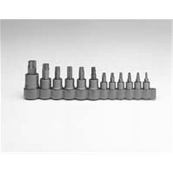 Allen AW58897 12 Pieces Torx Socket Set