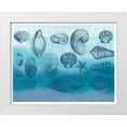 thumbnail image 1 of Allen, Candace 14x12 White Modern Wood Framed Museum Art Print Titled - Watercolor Coast Shells 2, 1 of 4