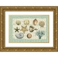 thumbnail image 1 of Allen, Candace 18x14 Gold Ornate Wood Framed with Double Matting Museum Art Print Titled - Sea Shell Collection, 1 of 4