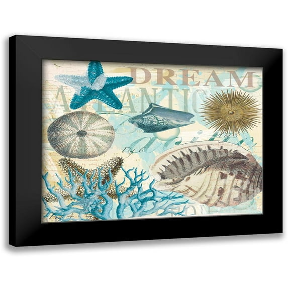 Allen, Candace 18x15 Black Modern Framed Museum Art Print Titled - Dream Shells R1