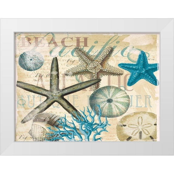 Allen, Candace 18x15 White Modern Wood Framed Museum Art Print Titled - Beach Shells R1