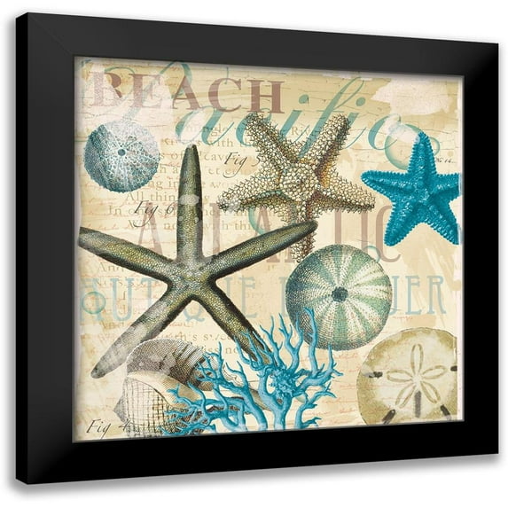 Allen, Candace 20x20 Black Modern Framed Museum Art Print Titled - Beach Shells R1